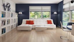 �������������� ����